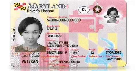 Licenses & IDs 